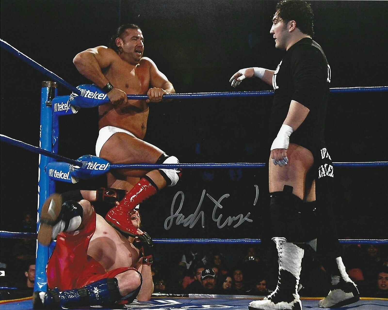 Jack Evans Signed 8x10 Photo Poster painting AEW AAA Picture w/ Perro Aguayo Jr & Hector Garza