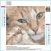Chat - Peinture diamant pleine - 30x30cm
