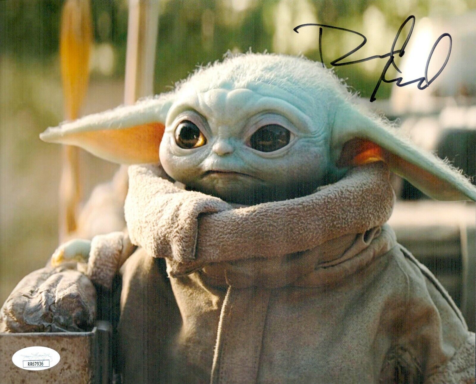 DAVID ACORD Signed 8x10 Mandalorian BABY YODA GROGU Photo Poster painting Autograph JSA COA