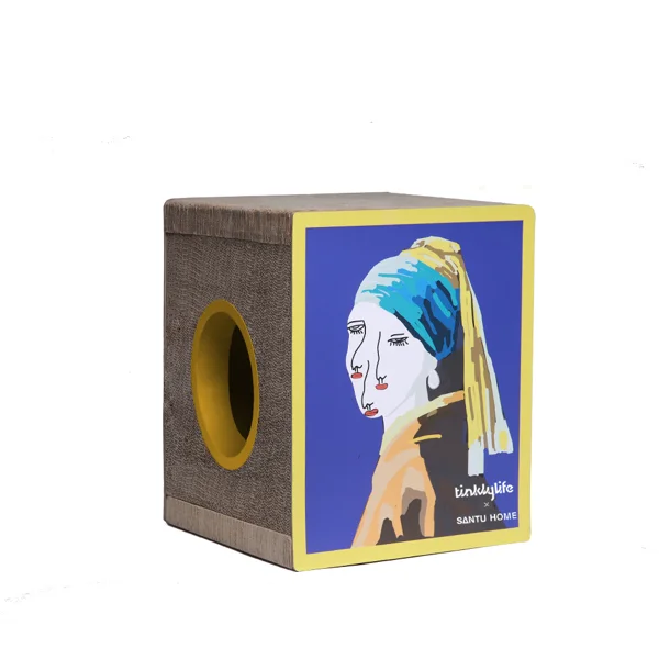 Santu Art Cat House And Scratcher (DIY)