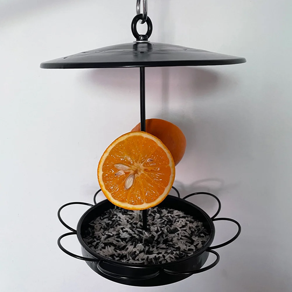 Small rainproof wrought iron bird feeder with fruit inserted outdoors
