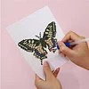 12pcs Butterfly-1 5D DIY Square Drill Diamond Painting Kits for Adults Beginners Home Decor Diamonds Paintings Gem Art 5.91x7.09in