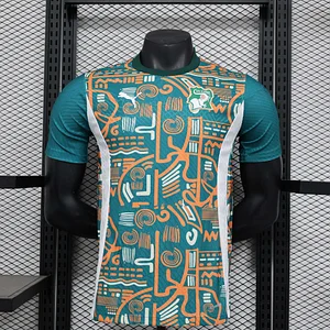 2024/2025 Player Version Côte d'Ivoire National Team Training Wear Football Shirt 1:1 Thai Quality