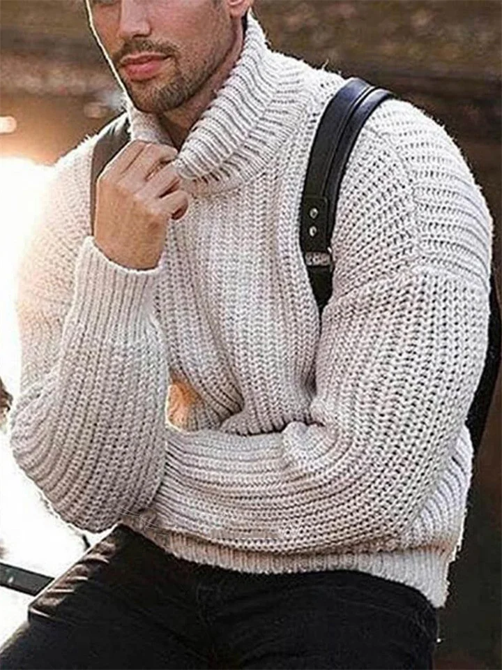 Casual Solid Color Long Sleeve High Neck Sweater