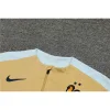 2024 Player Version France Gold Training Jacket Set