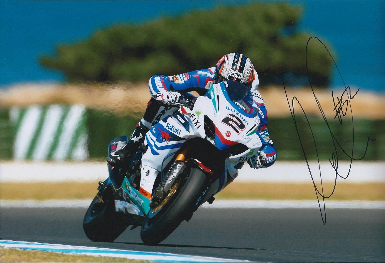 Leon CAMIER Superbike 12x8 SIGNED Suzuki Crescent FIXI Photo Poster painting Autograph AFTAL COA