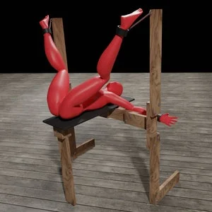 pornhint Pornhint Bondage Breeding Bench with snap links and restraints, robust and demountable - BDSM Dungeon furniture