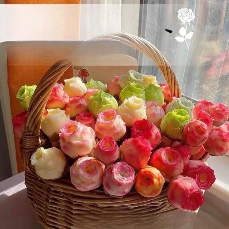 🌱🌹Mountain Rose: Beauty That Never Fades. Even for Newbie Blades!🌺