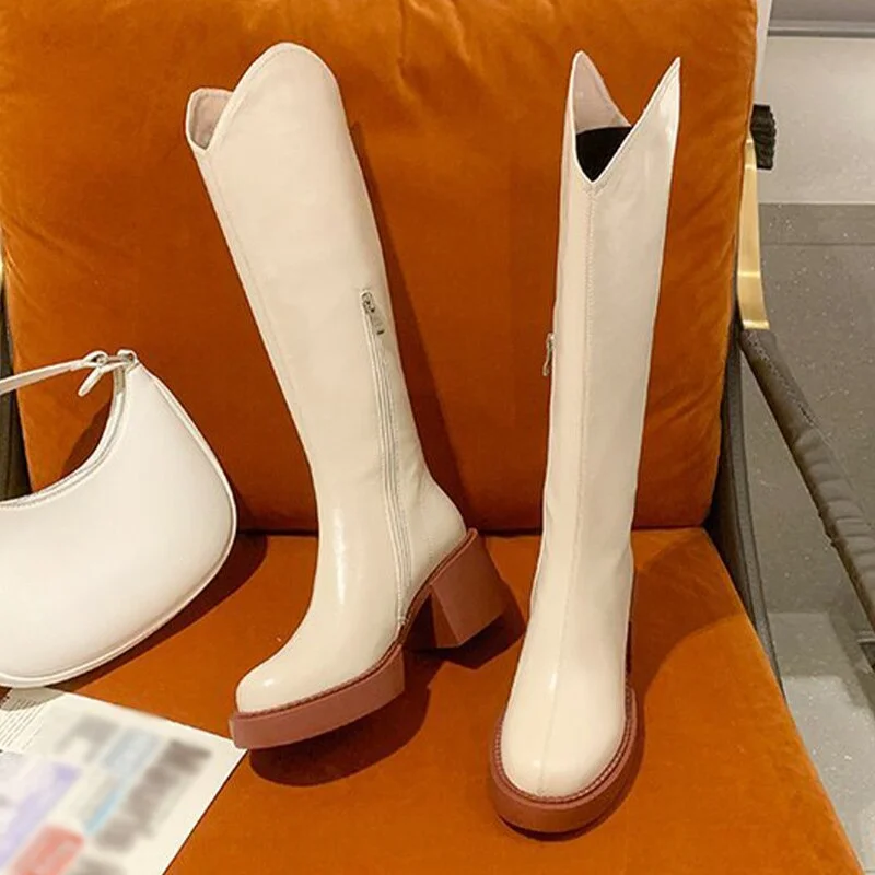 Women's Fashion Thigh High Long Boots Solid Square Heels Ladies Shoes Autumn Winter Soft Leather Zip Female Knee High Boots 2021