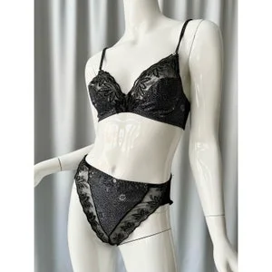 Pornhint CHRISTIAN DIOR; lingerie set; demi cup bra with high waist full brief underwear