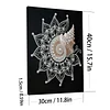 DIY Pearl Painting Conch Flower for Home Wall Decor with Frame(30x40cm)