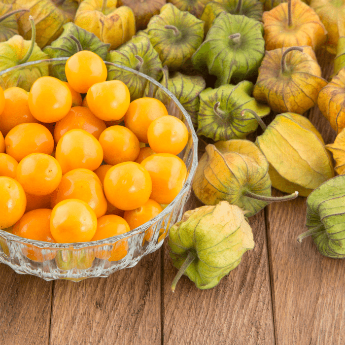 Physalis Peruviana Seeds-Plant exotic flavors and harvest sweet and sour taste