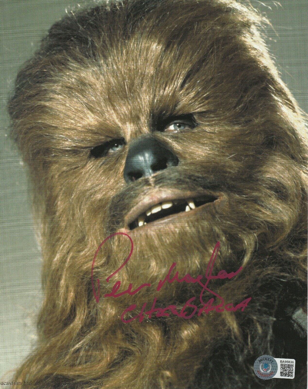 PETER MAYHEW Signed CHEWBACCA 8x10 Photo Poster painting with Beckett COA (BAS) & Inscription