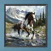 Cheval - perceuse ronde peinture diamant - 40*40cm