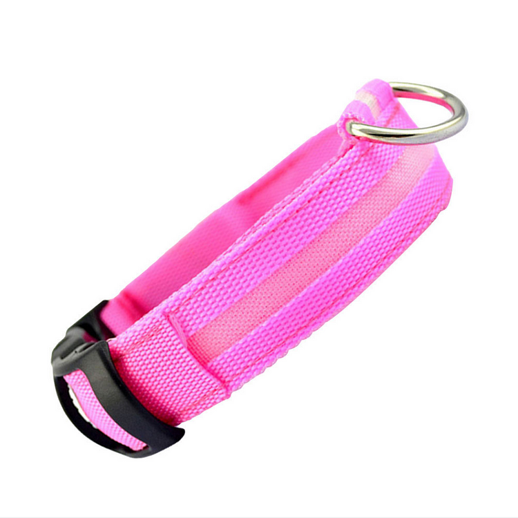 LED Lighted Dog Collar
