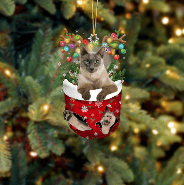 Cat Tonkinese In Snow Pocket Ornament