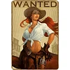 Cowgirl Pin Up Girl - Vintage Metal Signs - 20*30cm/30*40cm - Western