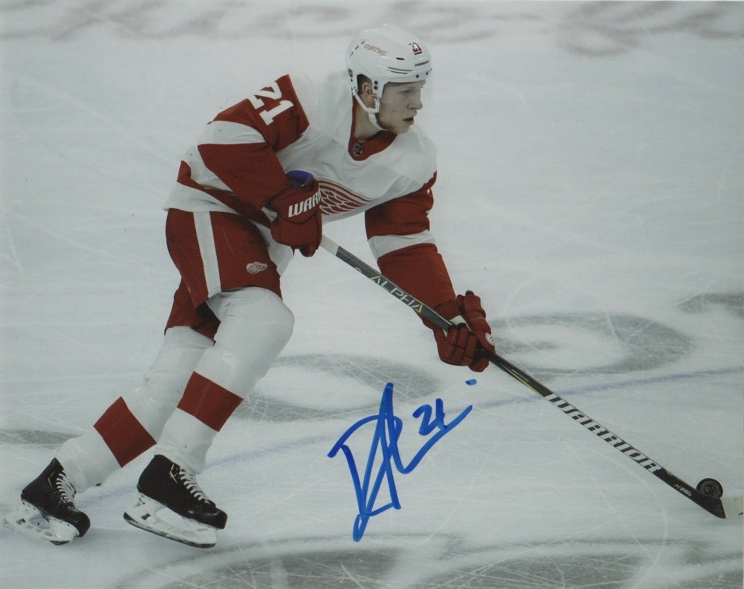 Detroit Red Wings Dennis Cholowski Signed Autographed 8x10 Photo Poster painting COA #1