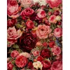 (Counted/Stamped)(Big Size) 11CT Rose Flower - Cross Stitch 50*70cm/19.69*27.56in