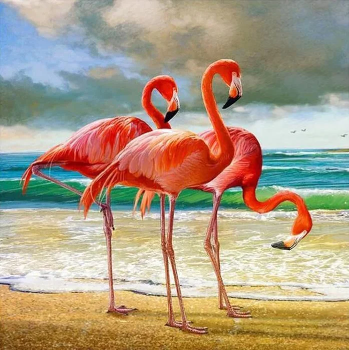 Flamingo Paint By Numbers Kits UK WH-3013