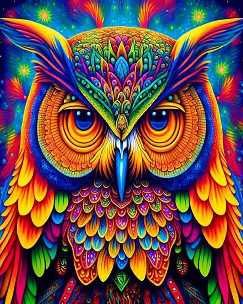 DIY Painting By Numbers | Colorful Owl - 40*50cm