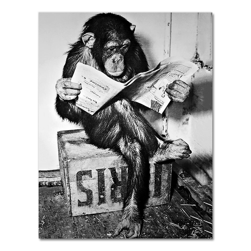 Funny Monkey Business Poster and Print On The Wall Reading Newspaper Painting Washroom Restroom Decor Black White Art Picture