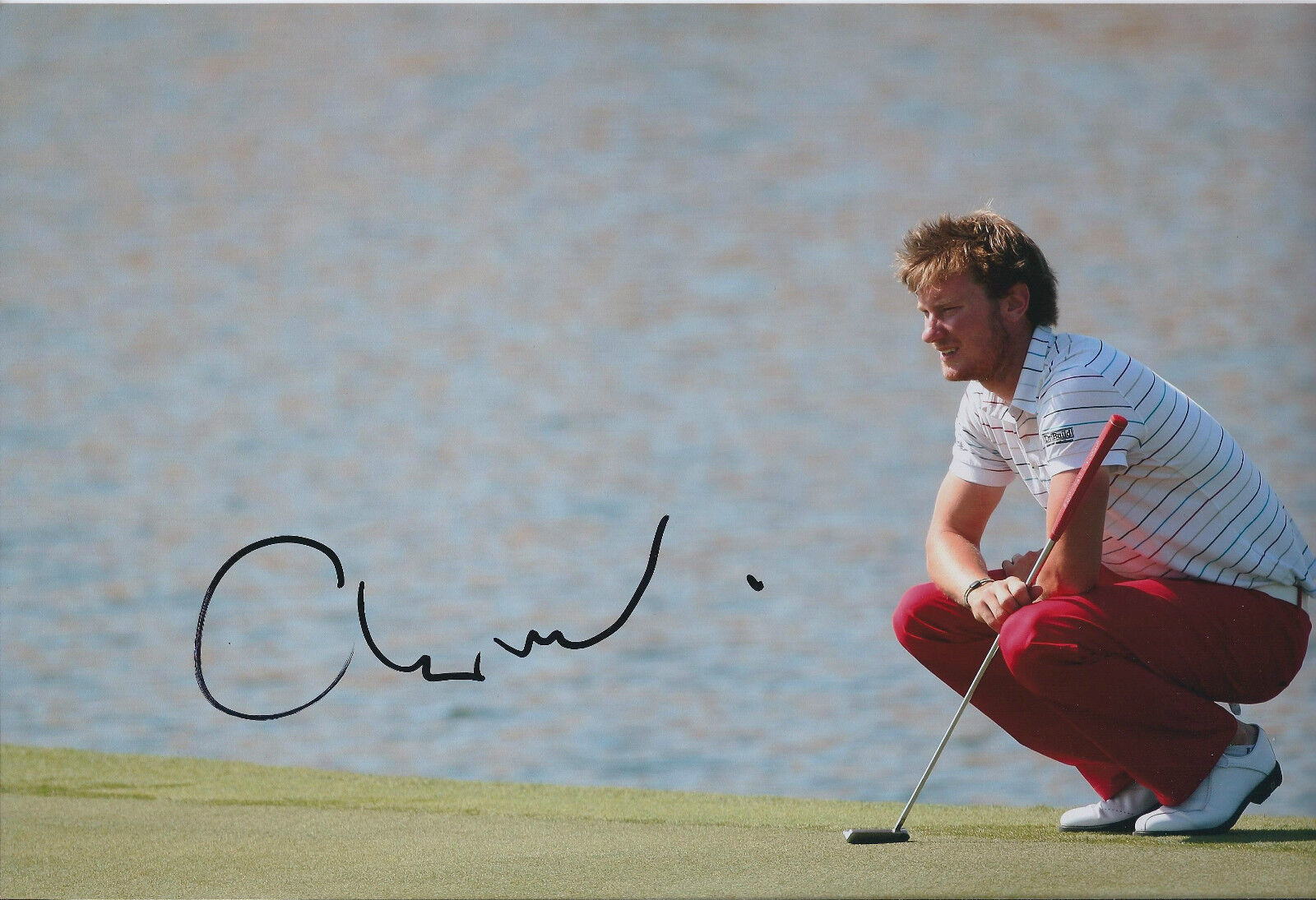 Chris WOOD GENUINE SIGNED AUTOGRAPH Golf 12x8 Photo Poster painting AFTAL COA In Person