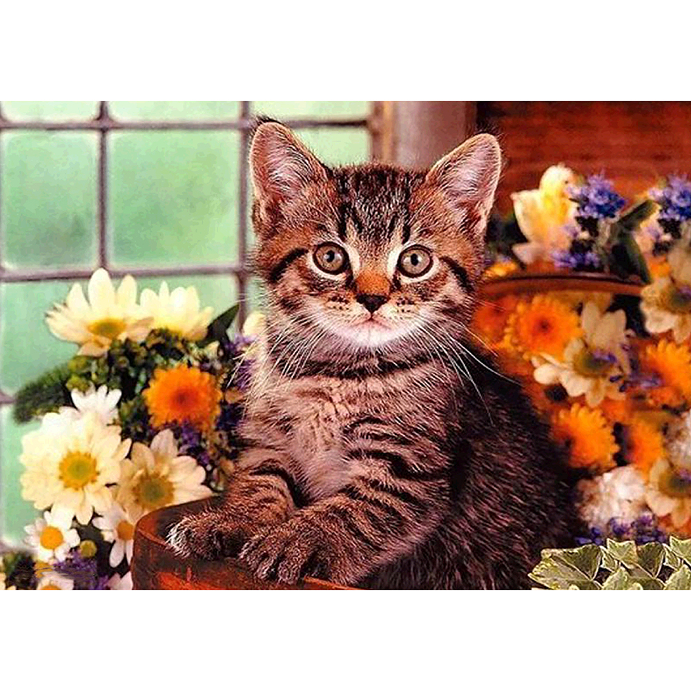

40*30CM - Round Drill Diamond Painting - Kitten, 501 Original