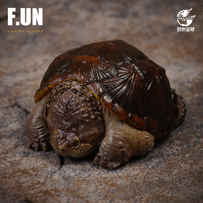 Animal Planet Buddha snapping turtle real snapping turtle big head tortoise black turtle tide  -aliexpress