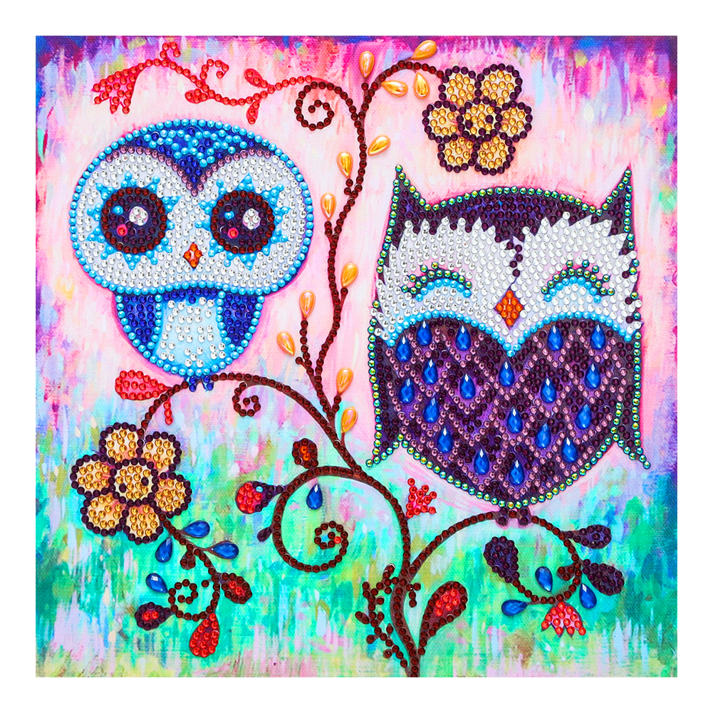 

30*30CM - Crystal Special Shaped Diamond Painting - Owl, 501 Original
