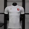 Joyfball 2025/2026 Player Version Lyon Anniversary Edition Football Shirt（The player version jersey is a bit tight, please pay attention to the size selection）