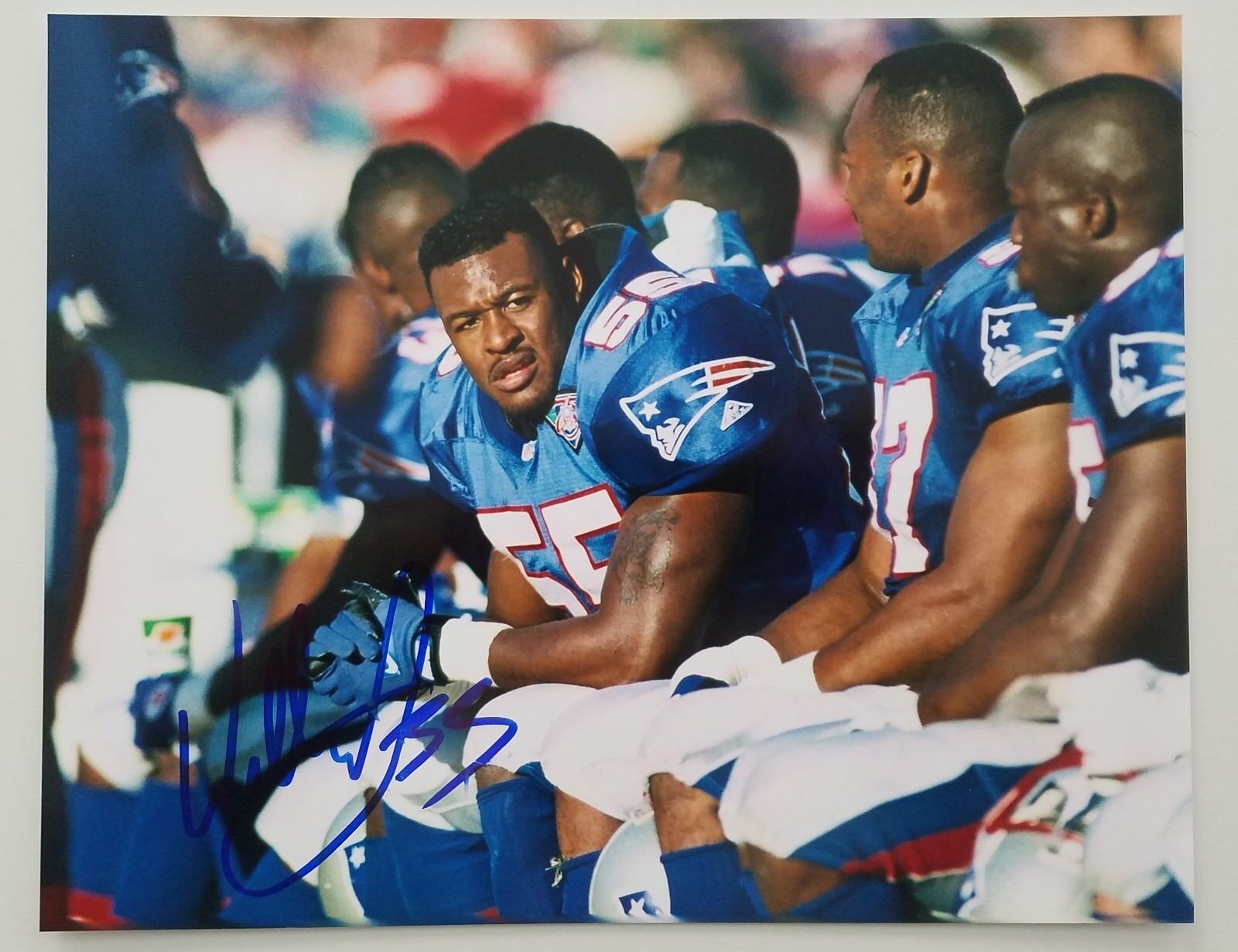 Willie McGinest Signed 8x10 Photo Poster painting New England Patriots NFL SB Legend Autograph