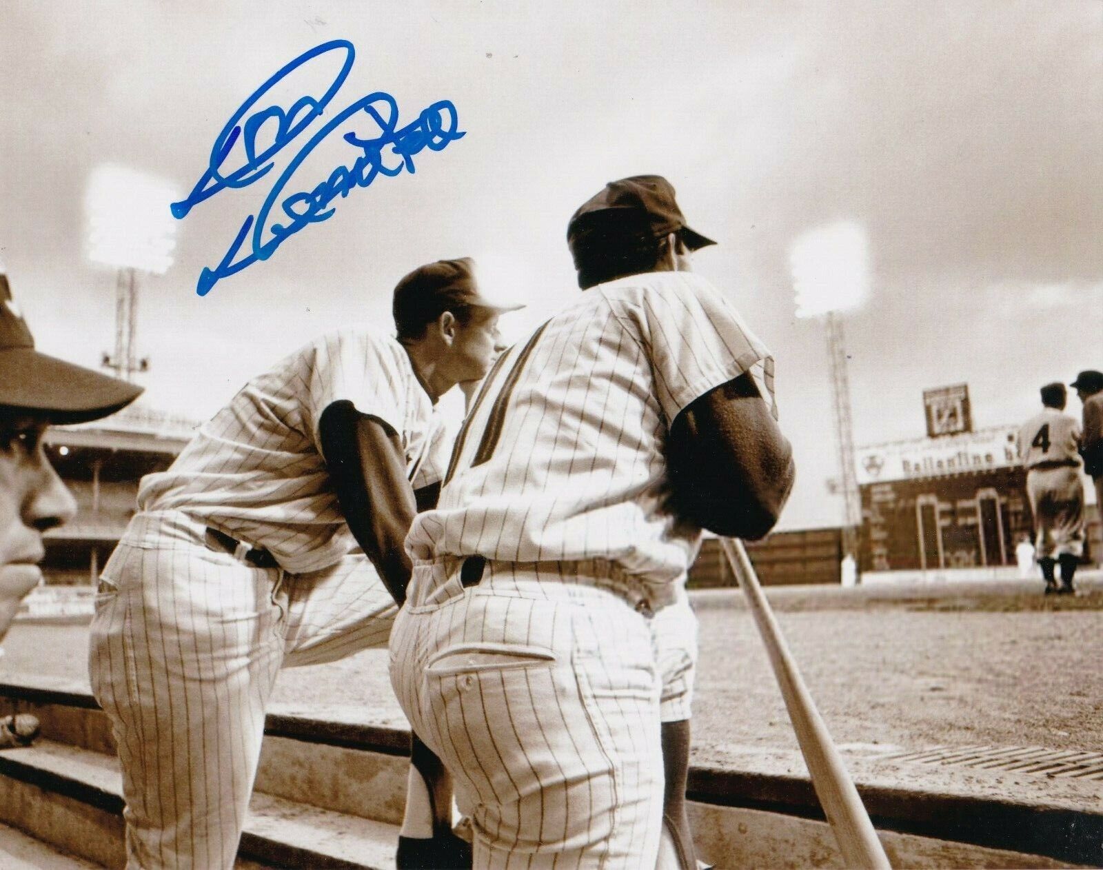 DON DEMETER PHILADELPHIA PHILLIES ACTION SIGNED 8x10 Photo Poster painting