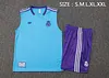 2025/2026 Real Madrid Pre-Match Training Light Blue Vest+Shorts Football1:1 Thai Quality