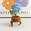 (Finished Product)Crochet Flower Potted Doll with Positive Card Desktop Ornaments, Potted Plants, Bouquets Gift Home Decor