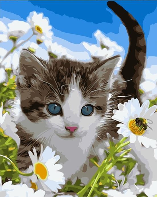 

Flowers Cat – Paint By Numbers - 40*50CM, 501 Original