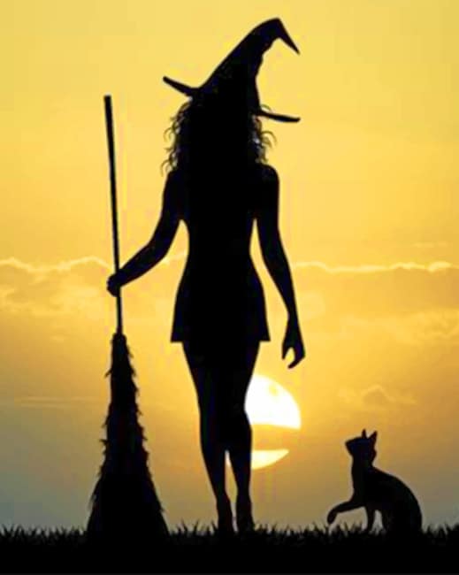

Witch Silhouette – Women Paint By Numbers - 40*50CM, 501 Original