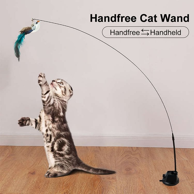 Suction Cup Handheld Cat Feather Toys