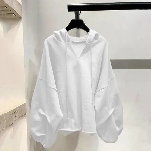 Women's Spring Autumn Long Sleeve Hooded Thin Sweater Lazy Wild Loose Top
