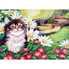 Diamond Painting -DIY Full Square Drill Cat