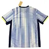2024/2025 Tottenham Away Football Shirt