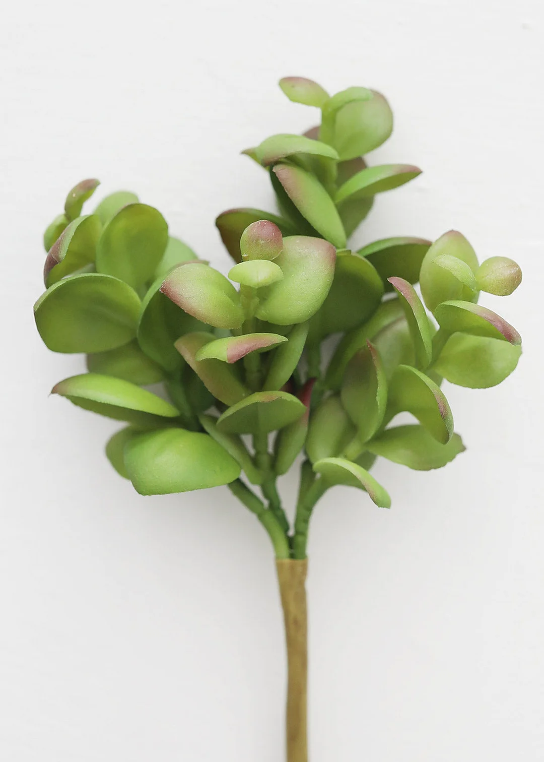 Artificial Jade Succulent Pick - 6.5"