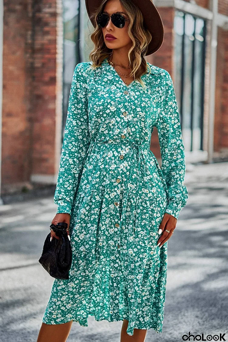 Printed Button Front Belted Tiered Shirt Dress