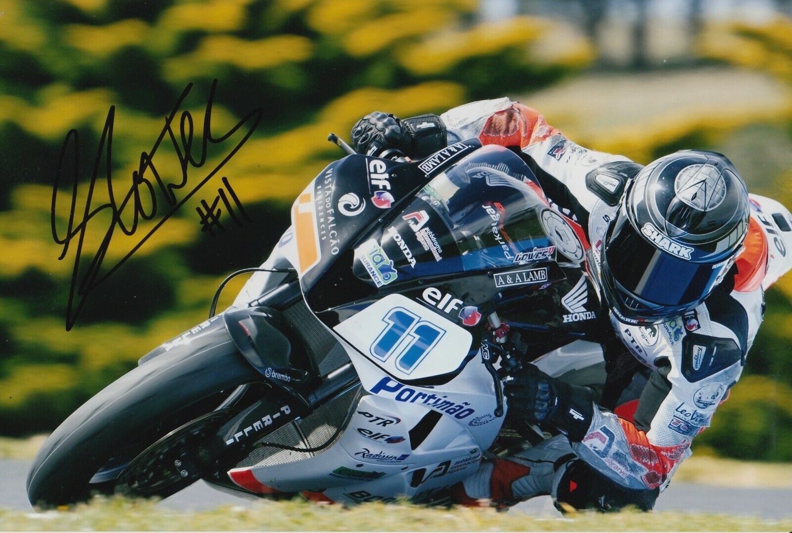 Sam Lowes Hand Signed 12x8 Photo Poster painting - World Superbikes.