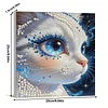 uk.everydayedeals DIY Pearl Painting With Frame - Handmade Self-Adhesive Pearls - Kitten(30*30cm)