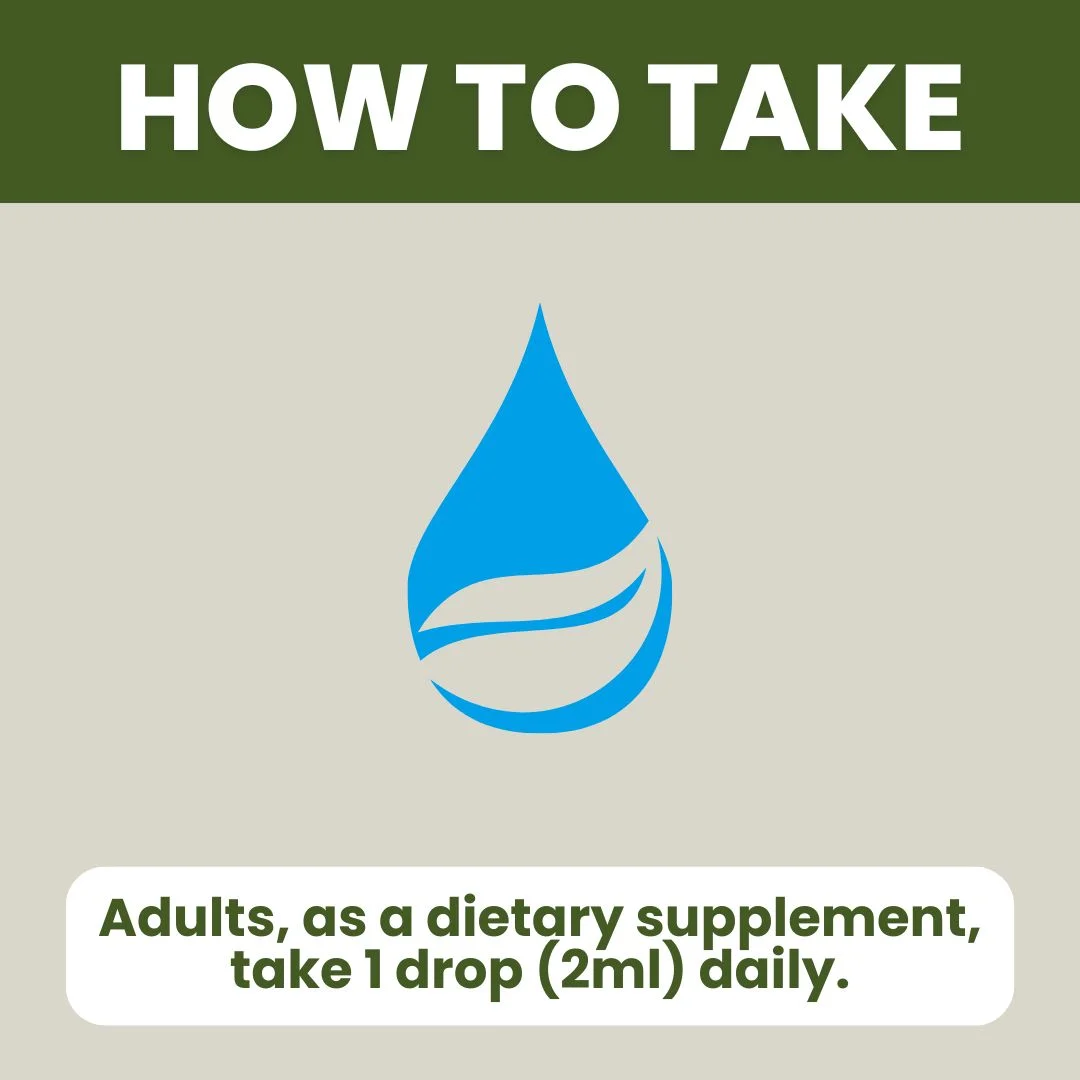 Red Yeast Rice Cholesterol Cleanse