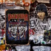 Pantera - Vintage Metal Signs - 20*30cm/30*40cm - Music