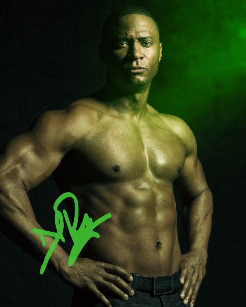 DAVID RAMSEY Arrow SIGNED AUTOGRAPHED 10 X 8