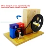 Hand-cranked AC/DC Generator Light Bulb