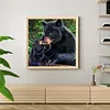 uk.everydayedeals (Limited Stock)Paint By Number - Oil Painting -  Bear (40*40Cm)